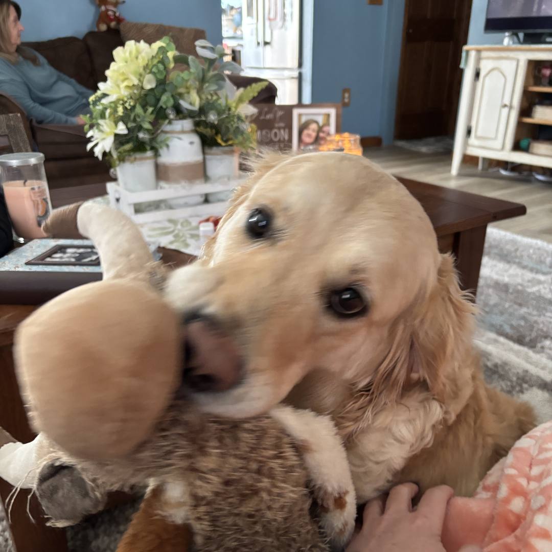 Photo shared by Cheyann for their Babylist baby registry.