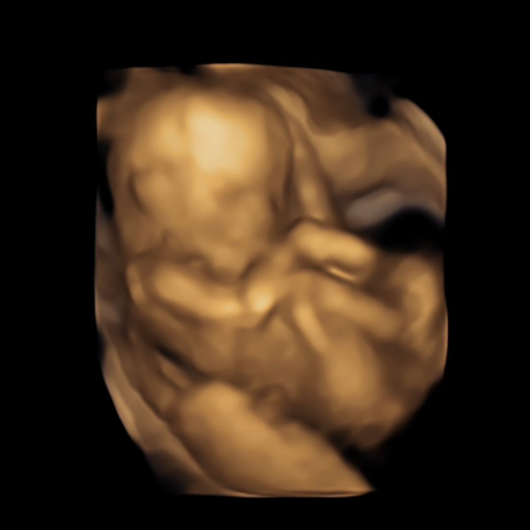 Photo shared by Danielle for their Babylist baby registry.