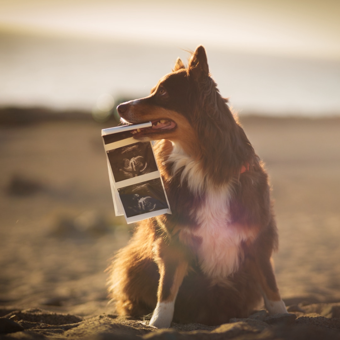 Photo shared by Lauren for their Babylist baby registry.