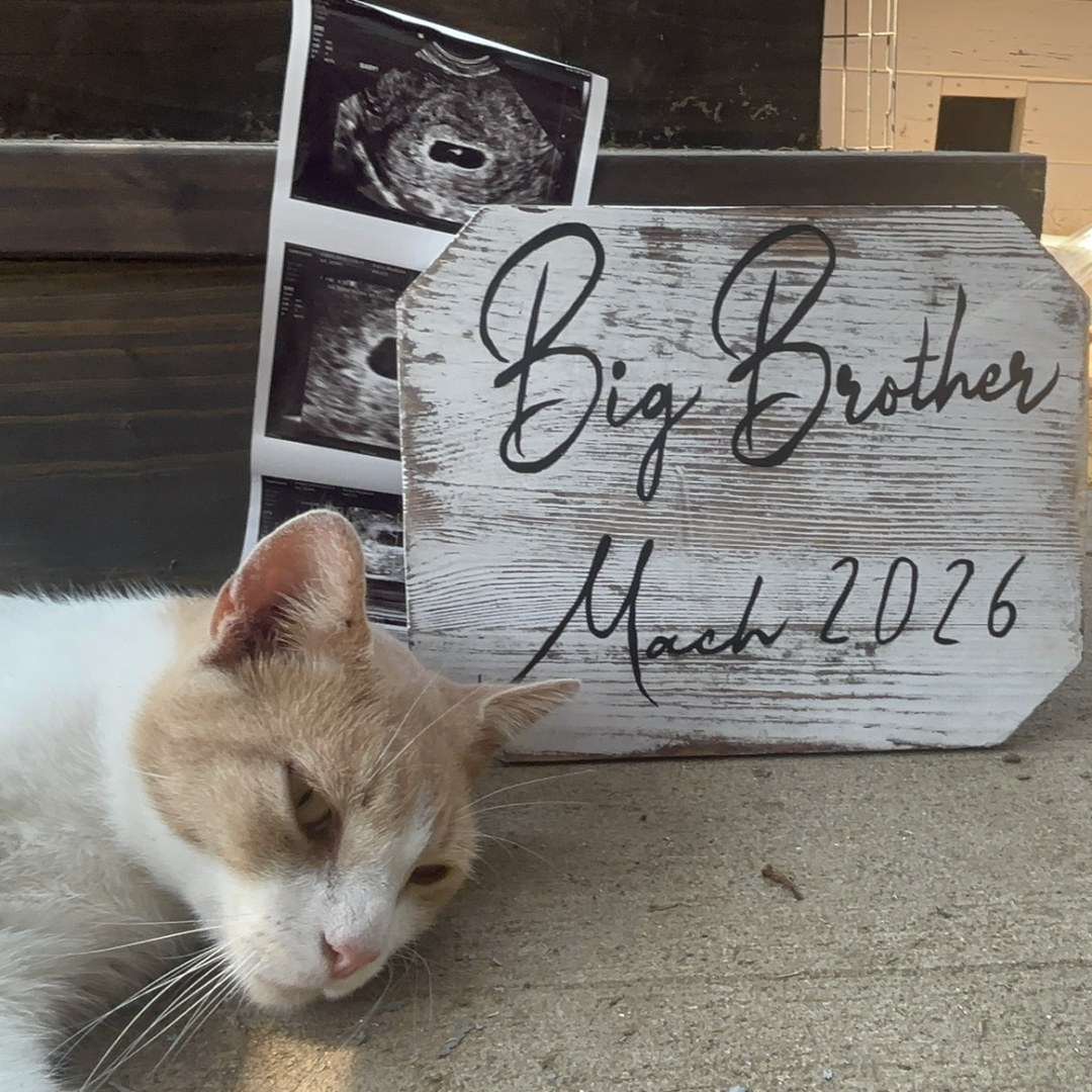 Photo shared by Madison for their Babylist baby registry.