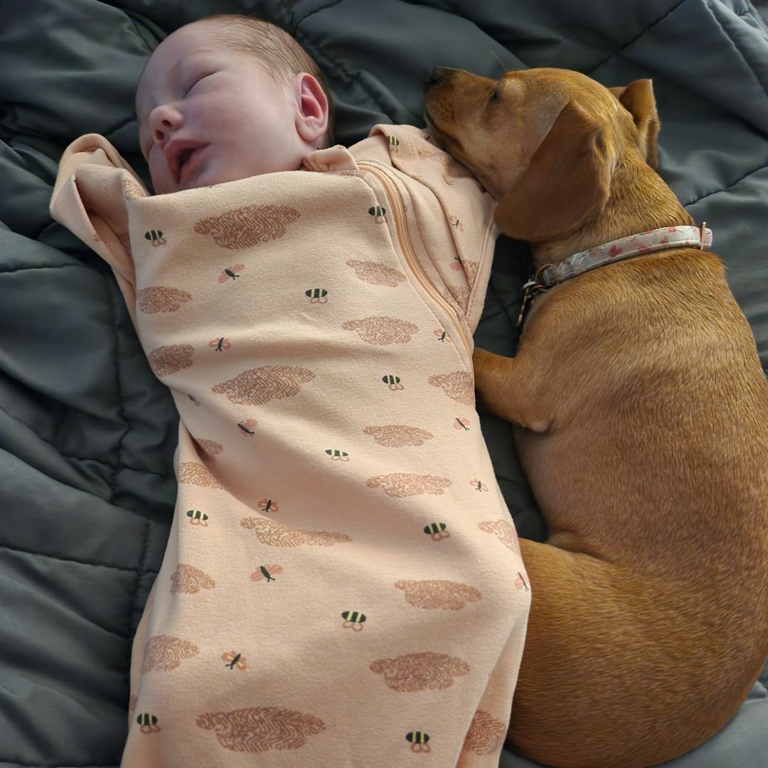 Photo shared by Rachel for their Babylist baby registry.