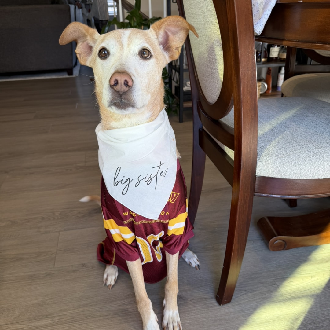 Photo shared by Antonia for their Babylist baby registry.