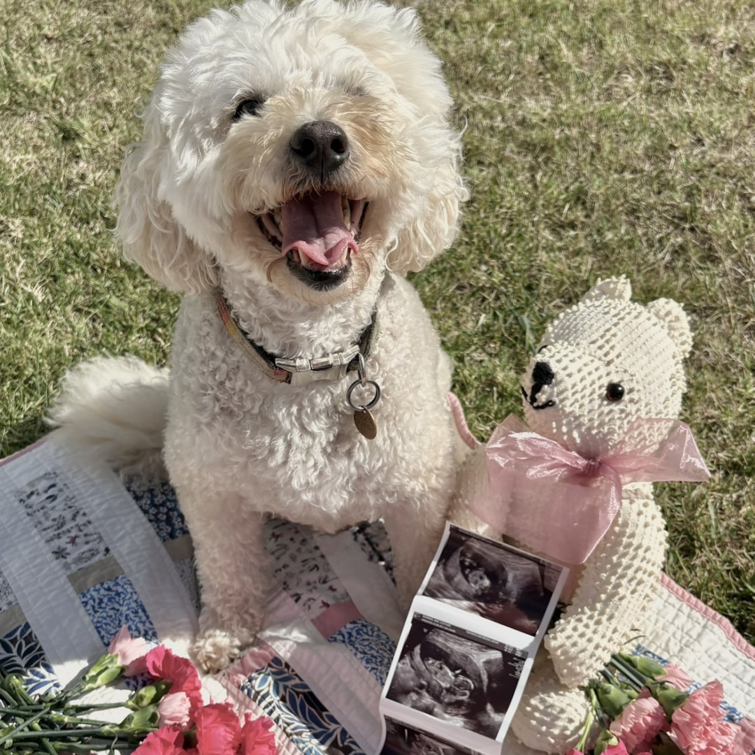 Photo shared by Jenna for their Babylist baby registry.