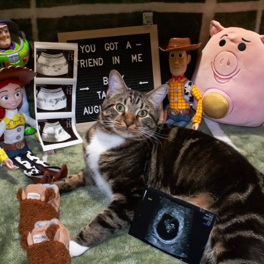 Photo shared by Hannah for their Babylist baby registry.