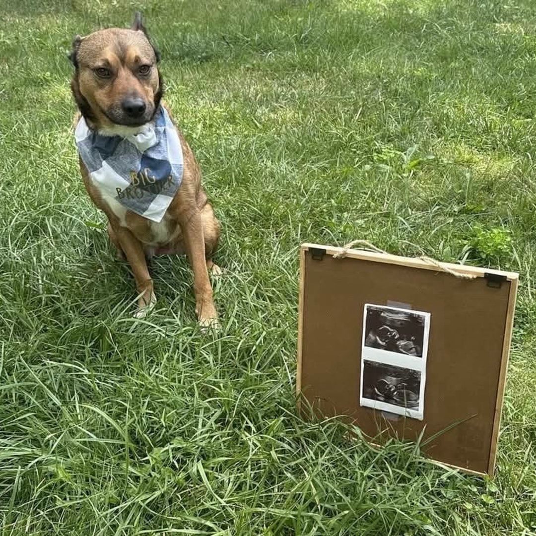 Photo shared by Sarah for their Babylist baby registry.