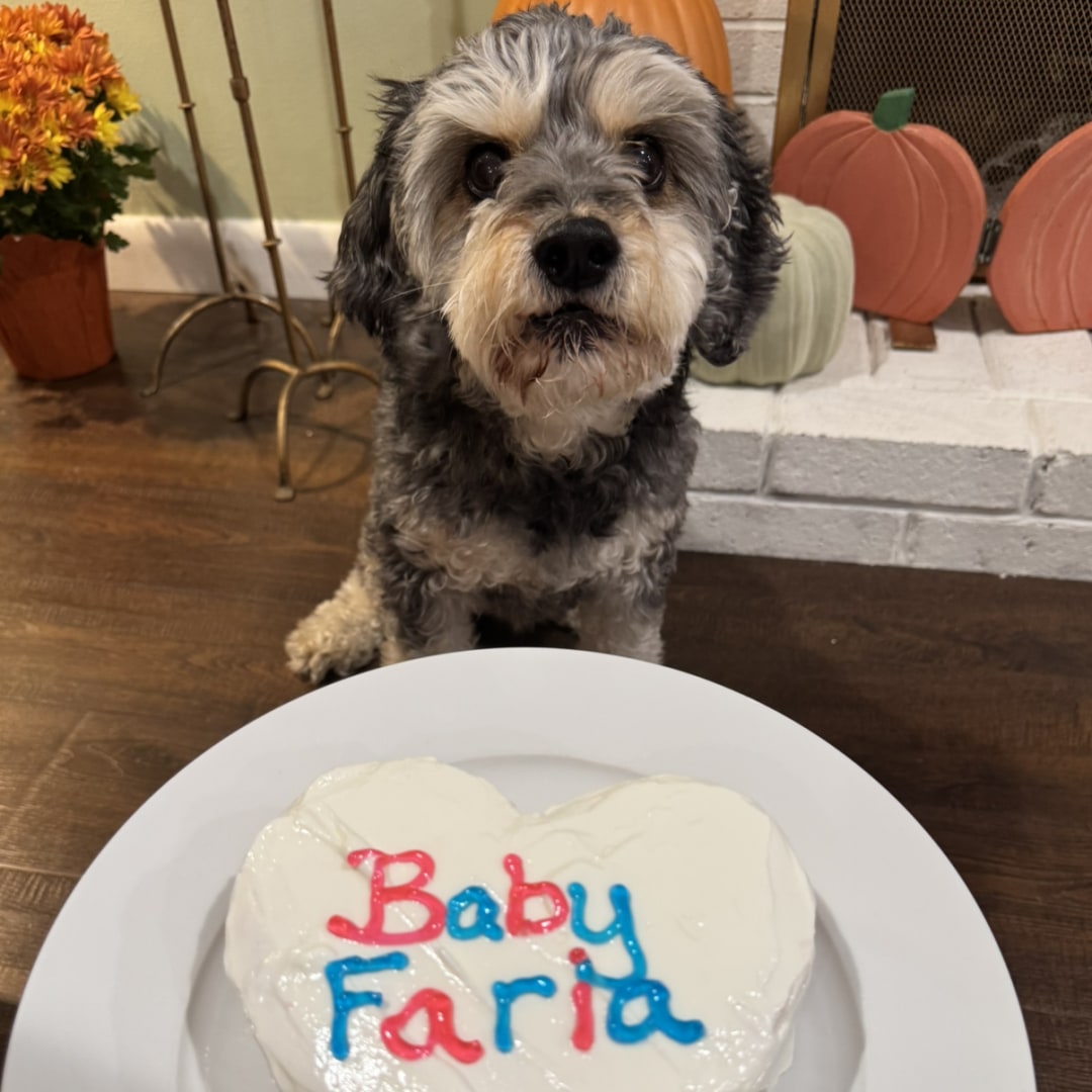 Photo shared by Amy for their Babylist baby registry.