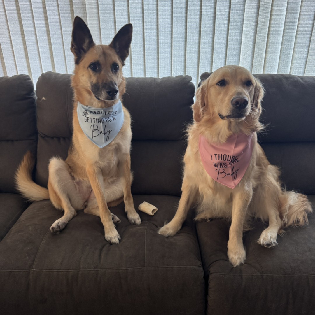 Photo shared by Madason for their Babylist baby registry.