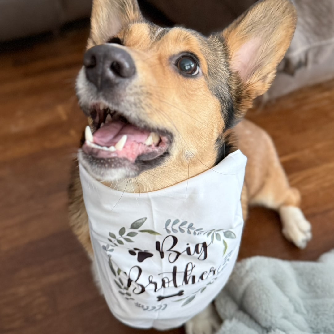 Photo shared by Morgan for their Babylist baby registry.