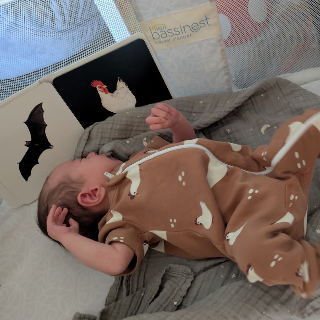 Photo shared by Amelie for their Babylist baby registry.