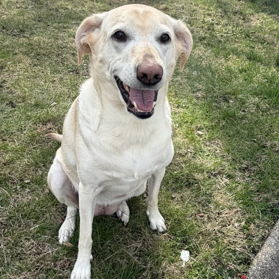 Photo shared by Deanna for their Babylist baby registry.