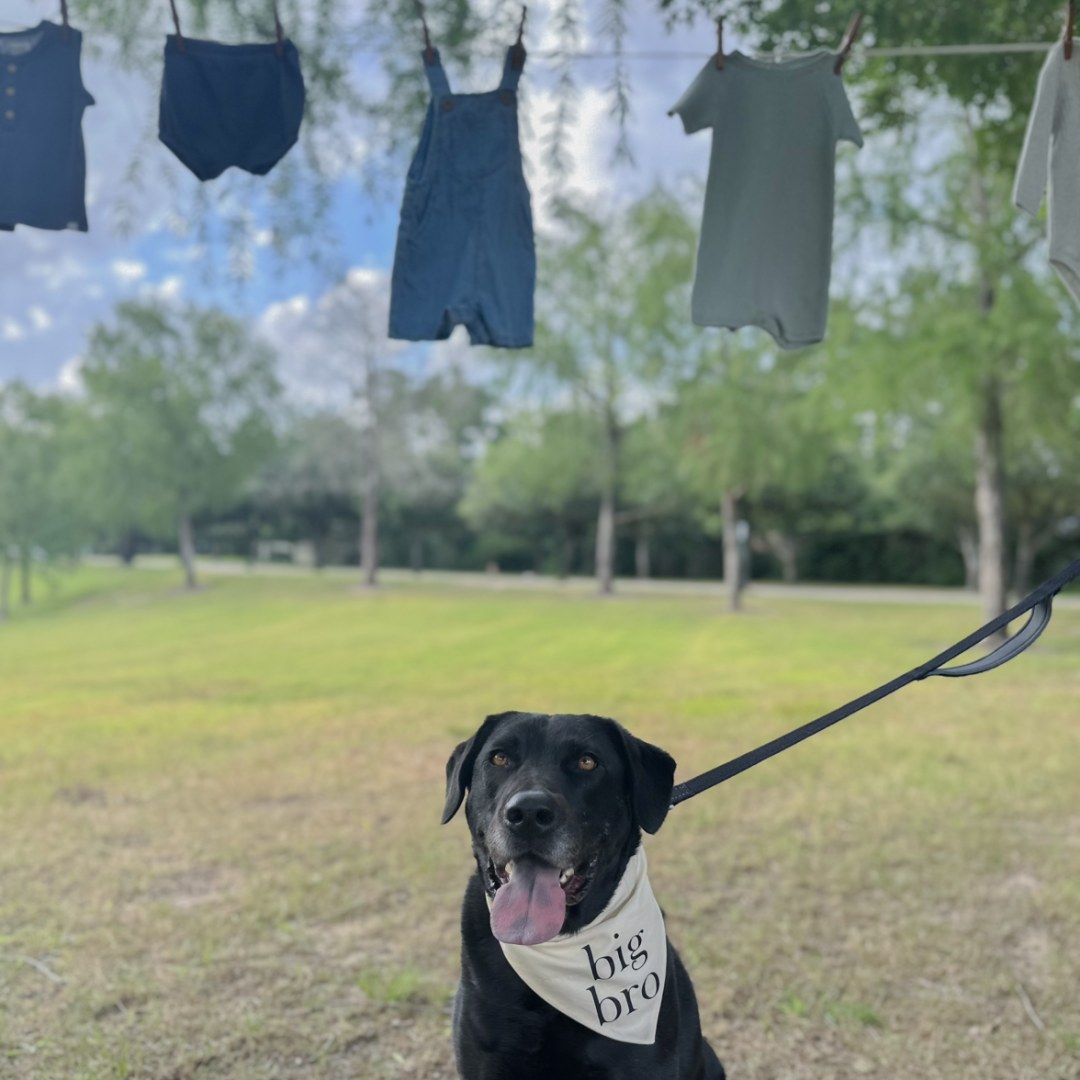 Photo shared by Alex for their Babylist baby registry.