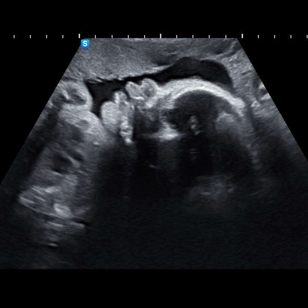 Photo shared by Azesha for their Babylist baby registry.