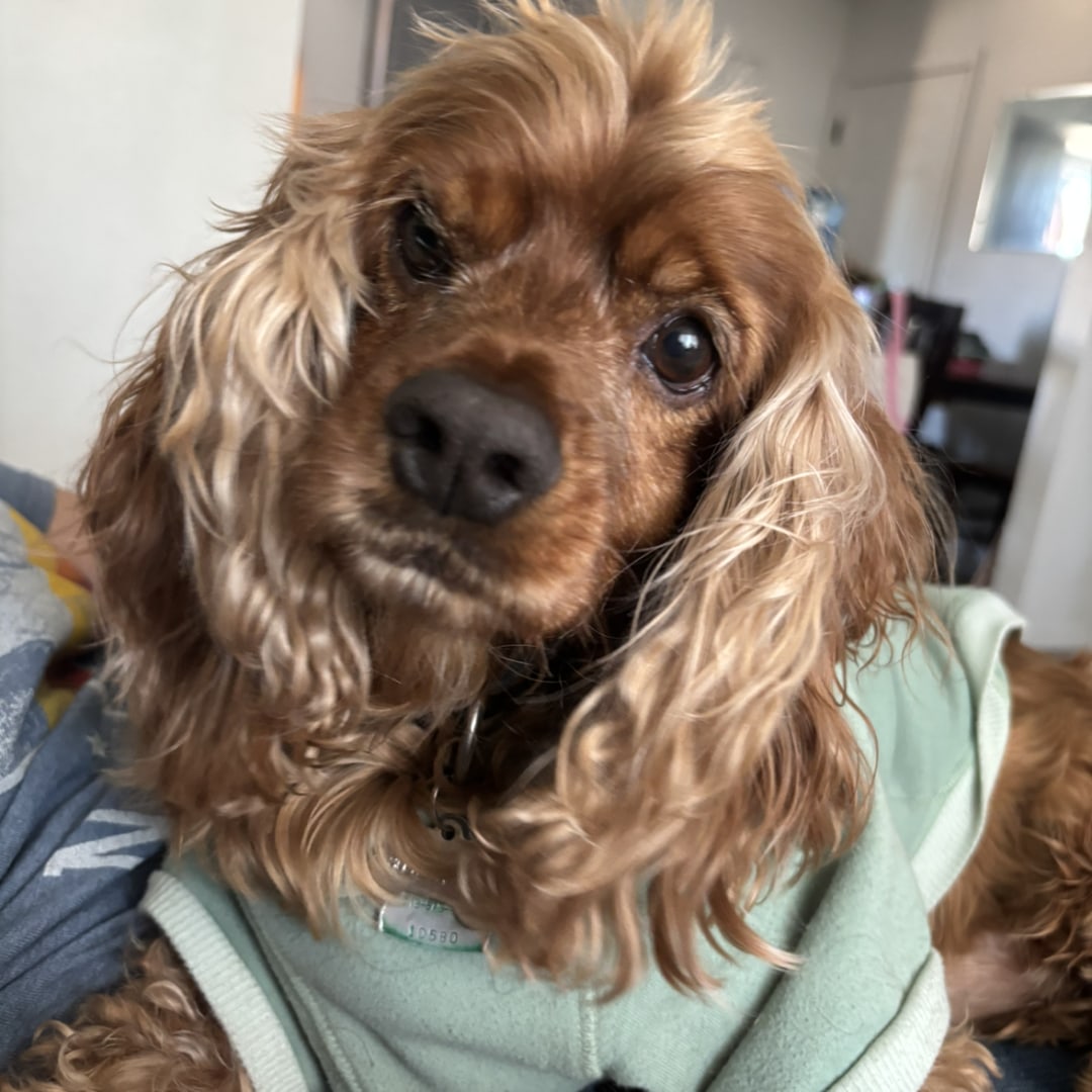 Photo shared by Grecia for their Babylist baby registry.