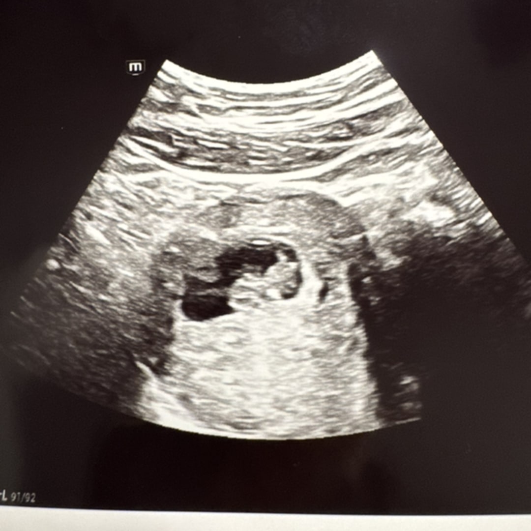 Photo shared by Maegann for their Babylist baby registry.