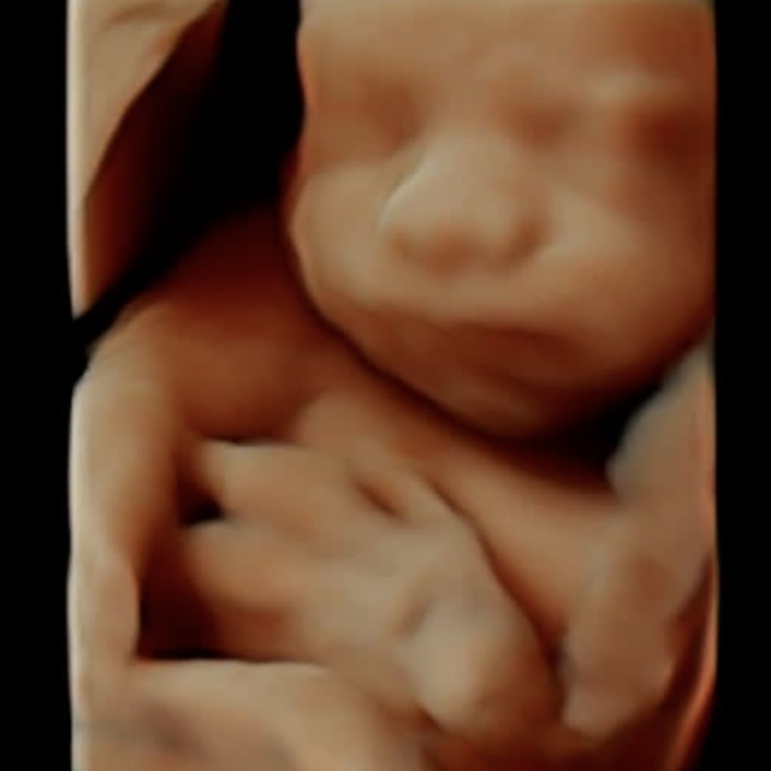 Photo shared by Molly for their Babylist baby registry.