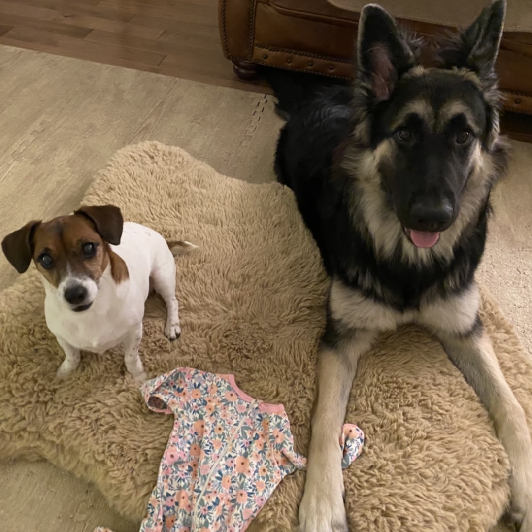 Photo shared by Eric for their Babylist baby registry.