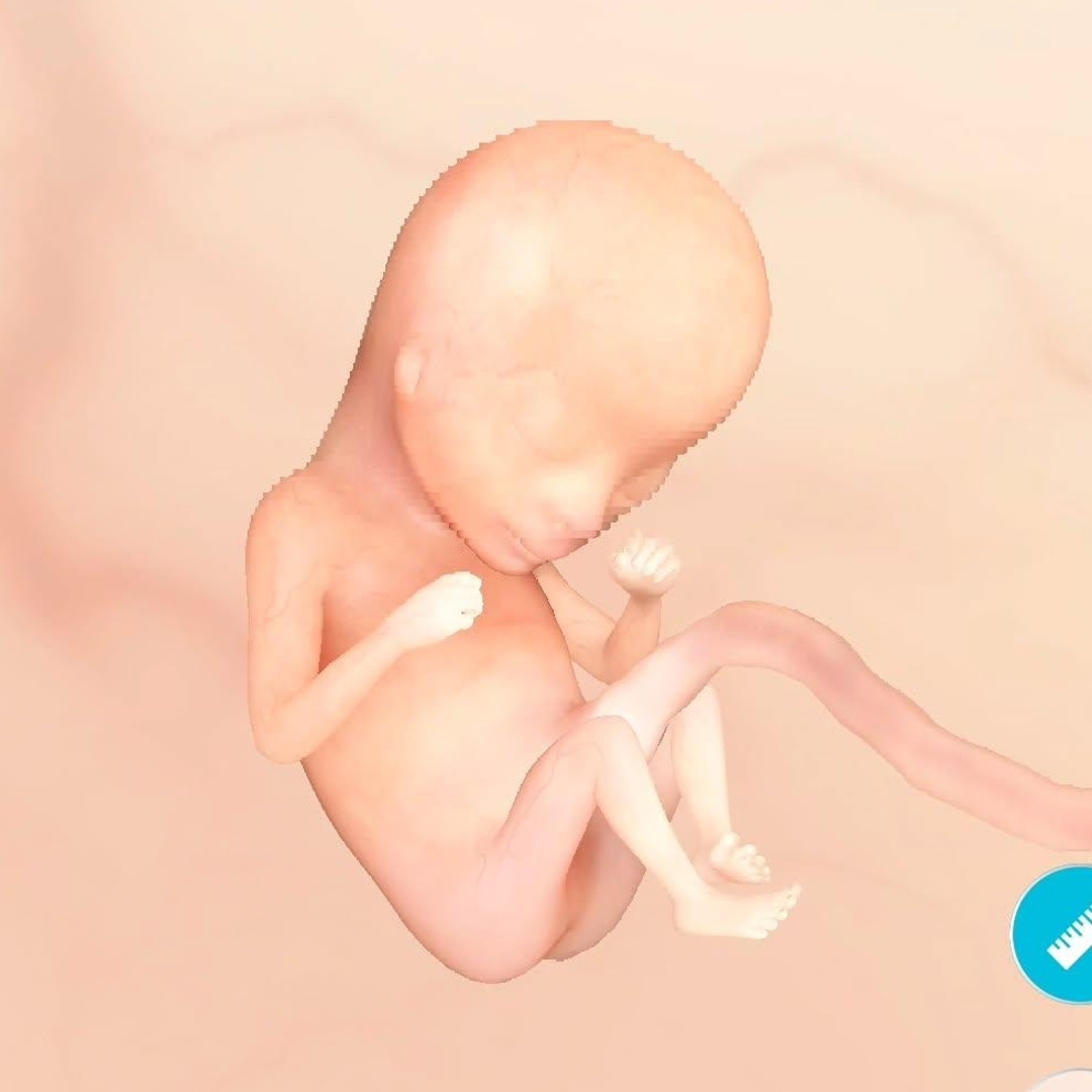 Photo shared by Adrii for their Babylist baby registry.