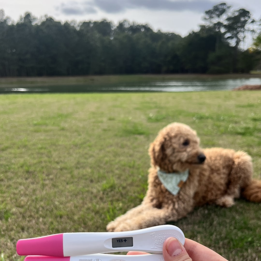 Photo shared by Sydney for their Babylist baby registry.