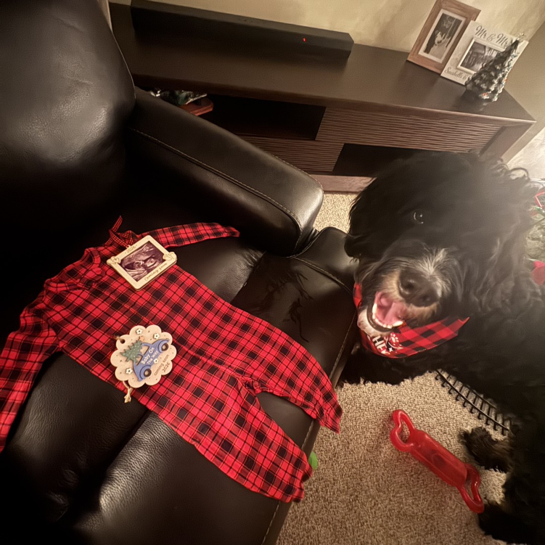 Photo shared by Courtney for their Babylist baby registry.