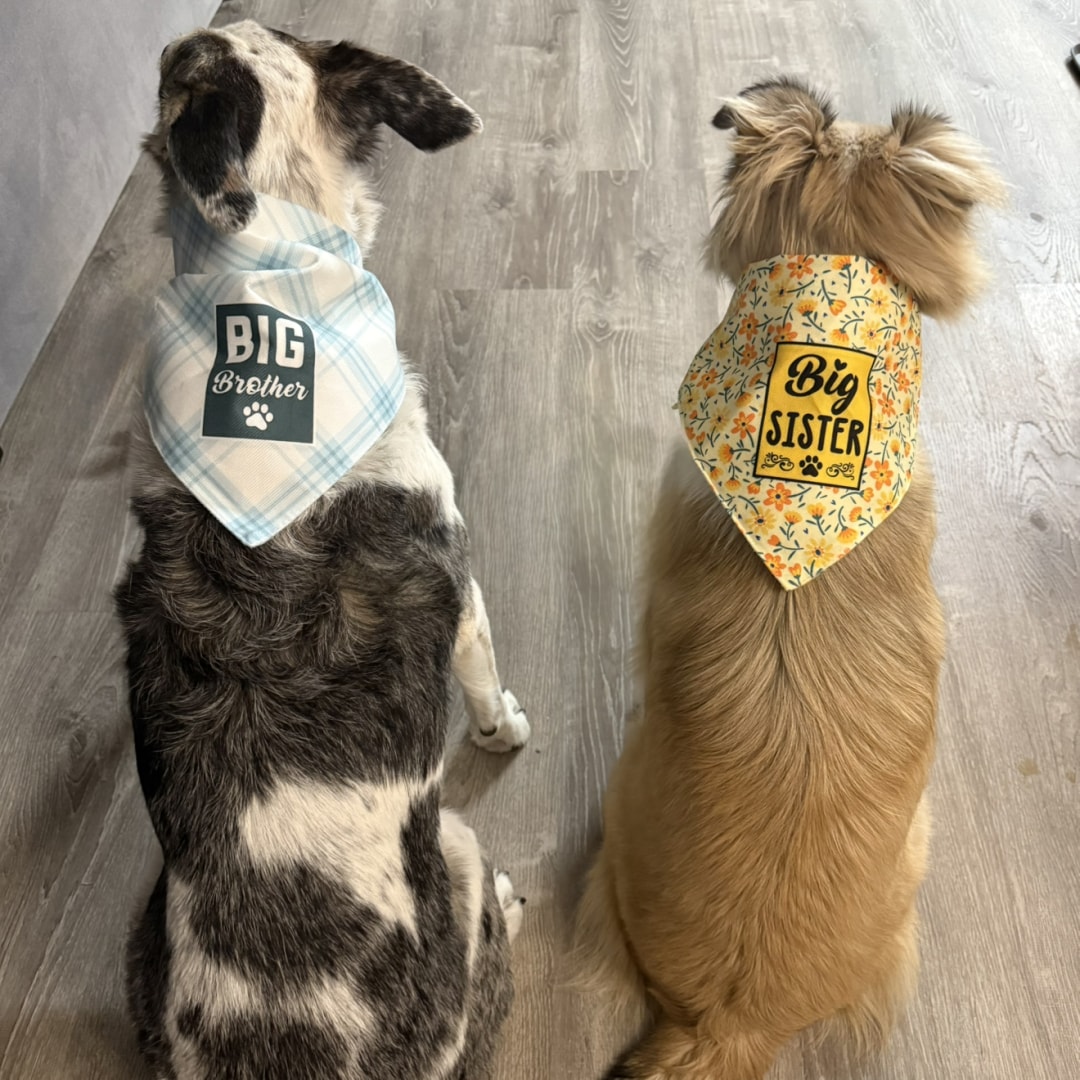 Photo shared by Emma for their Babylist baby registry.