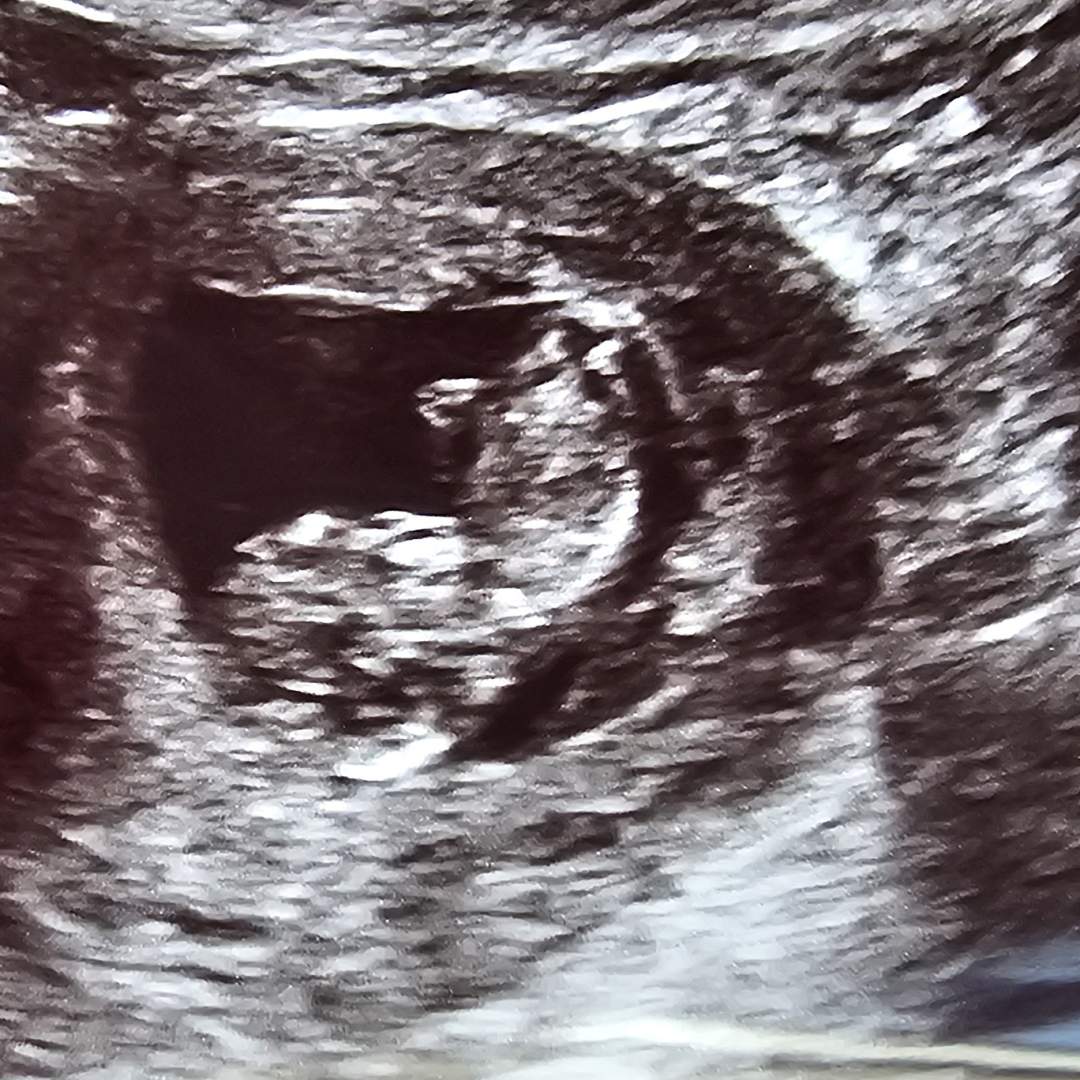 Photo shared by Cheyanne for their Babylist baby registry.