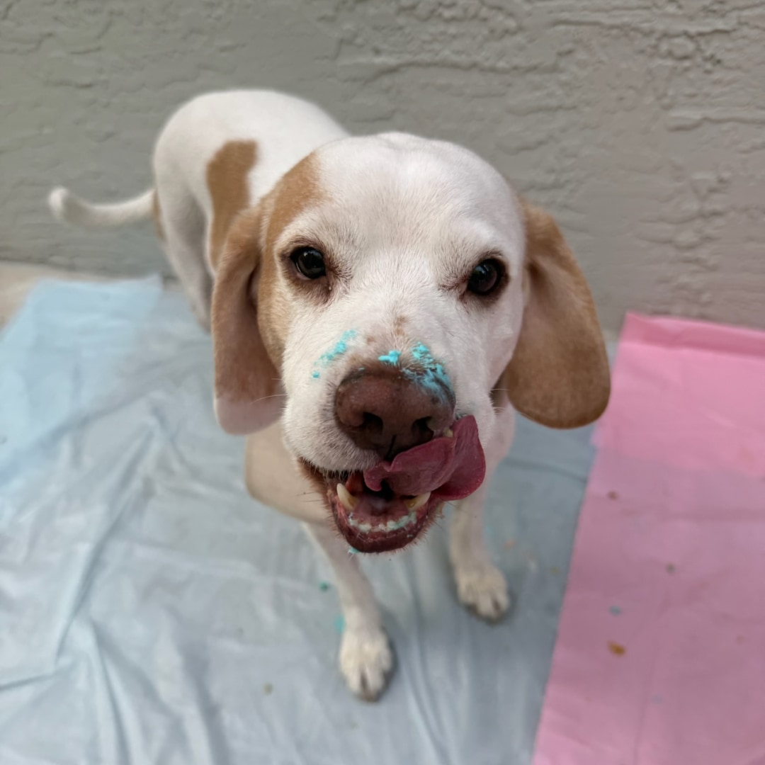 Photo shared by Danielle for their Babylist baby registry.