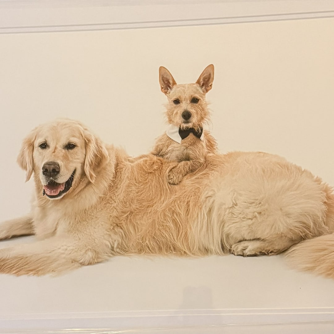 Photo shared by Hannah for their Babylist baby registry.