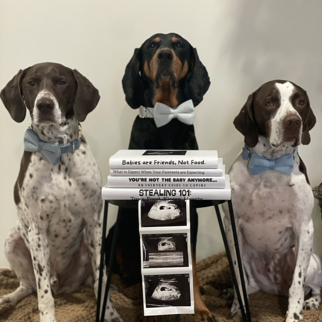 Photo shared by Drake for their Babylist baby registry.