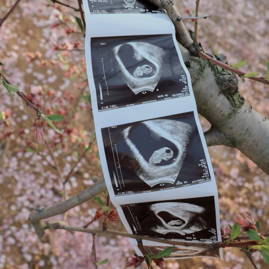 Photo shared by Mahria for their Babylist baby registry.