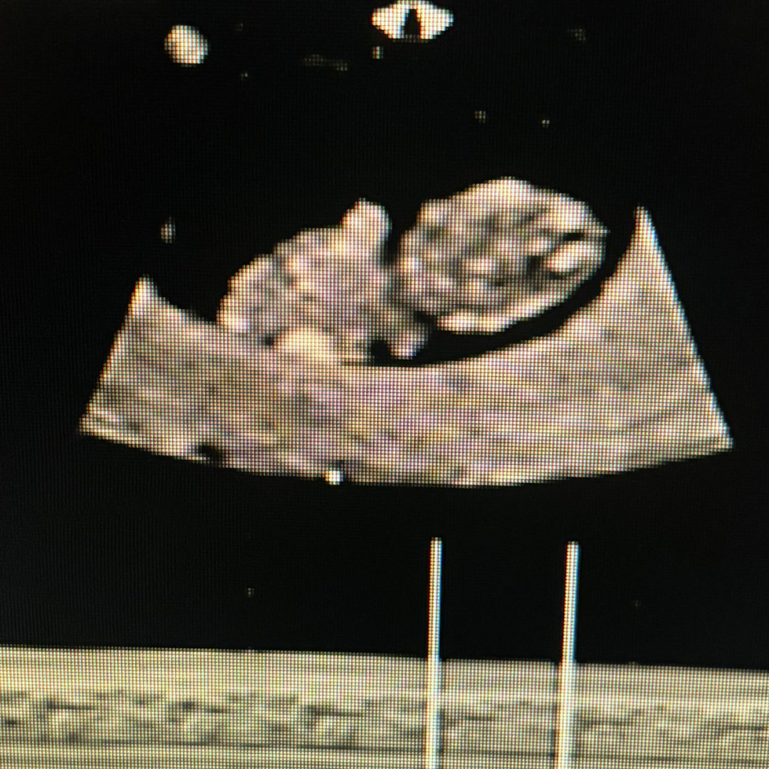 Photo shared by Alysa for their Babylist baby registry.