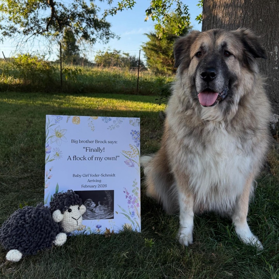 Photo shared by Alexandra for their Babylist baby registry.