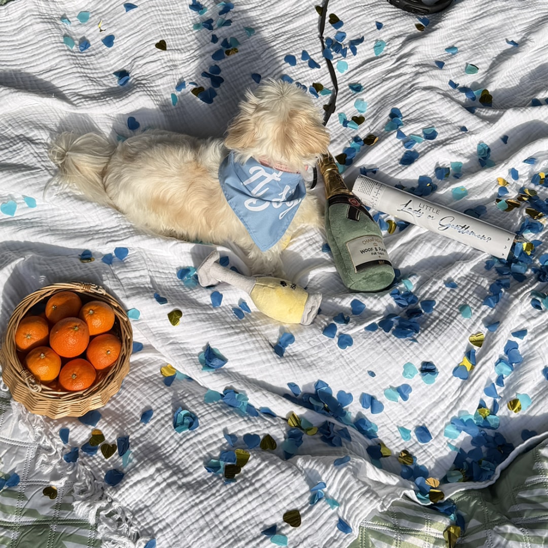 Photo shared by Alique for their Babylist baby registry.