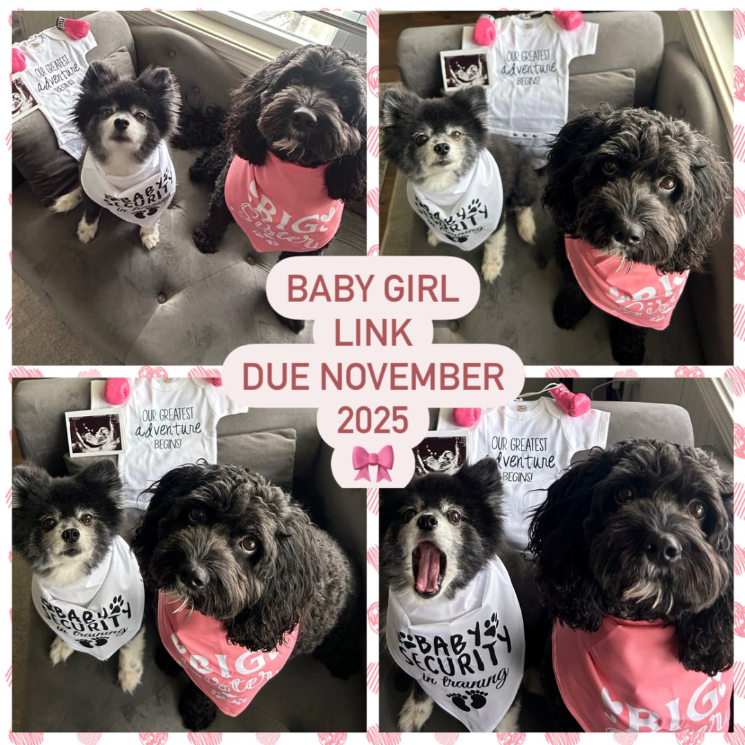 Photo shared by Katherine for their Babylist baby registry.