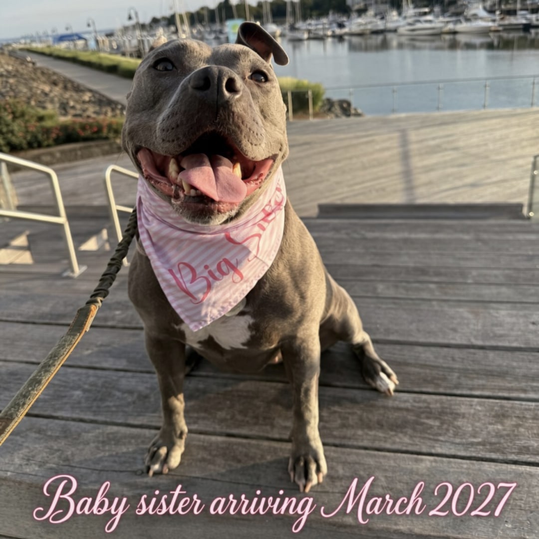 Photo shared by Bill for their Babylist baby registry.