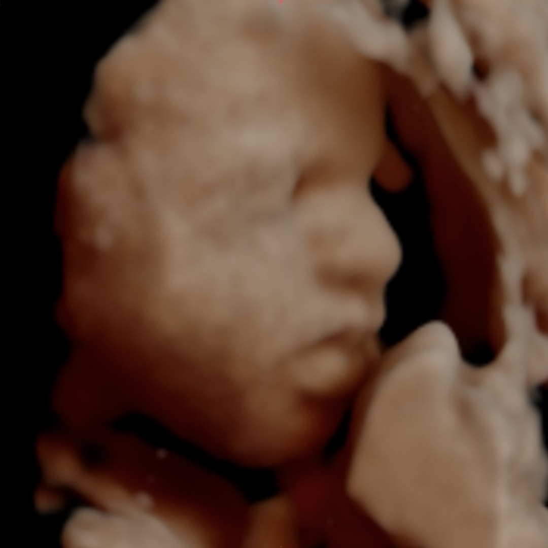 Photo shared by Amanda for their Babylist baby registry.