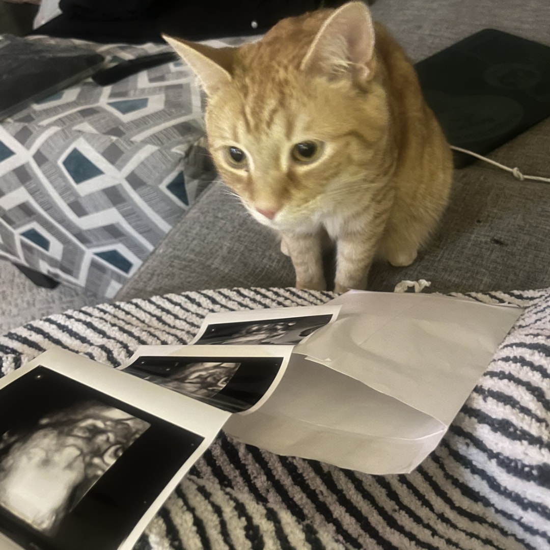 Photo shared by Emily for their Babylist baby registry.