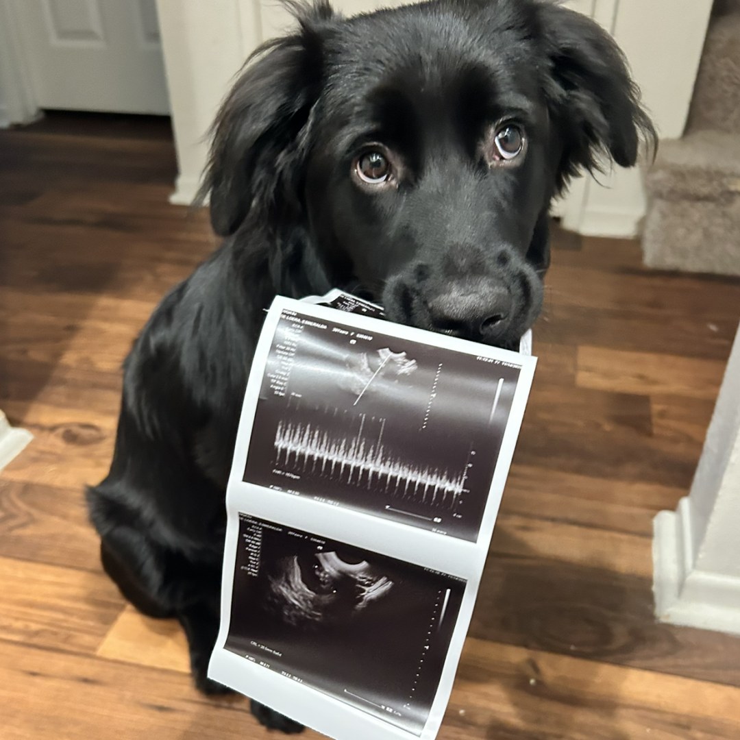 Photo shared by Esmeralda for their Babylist baby registry.