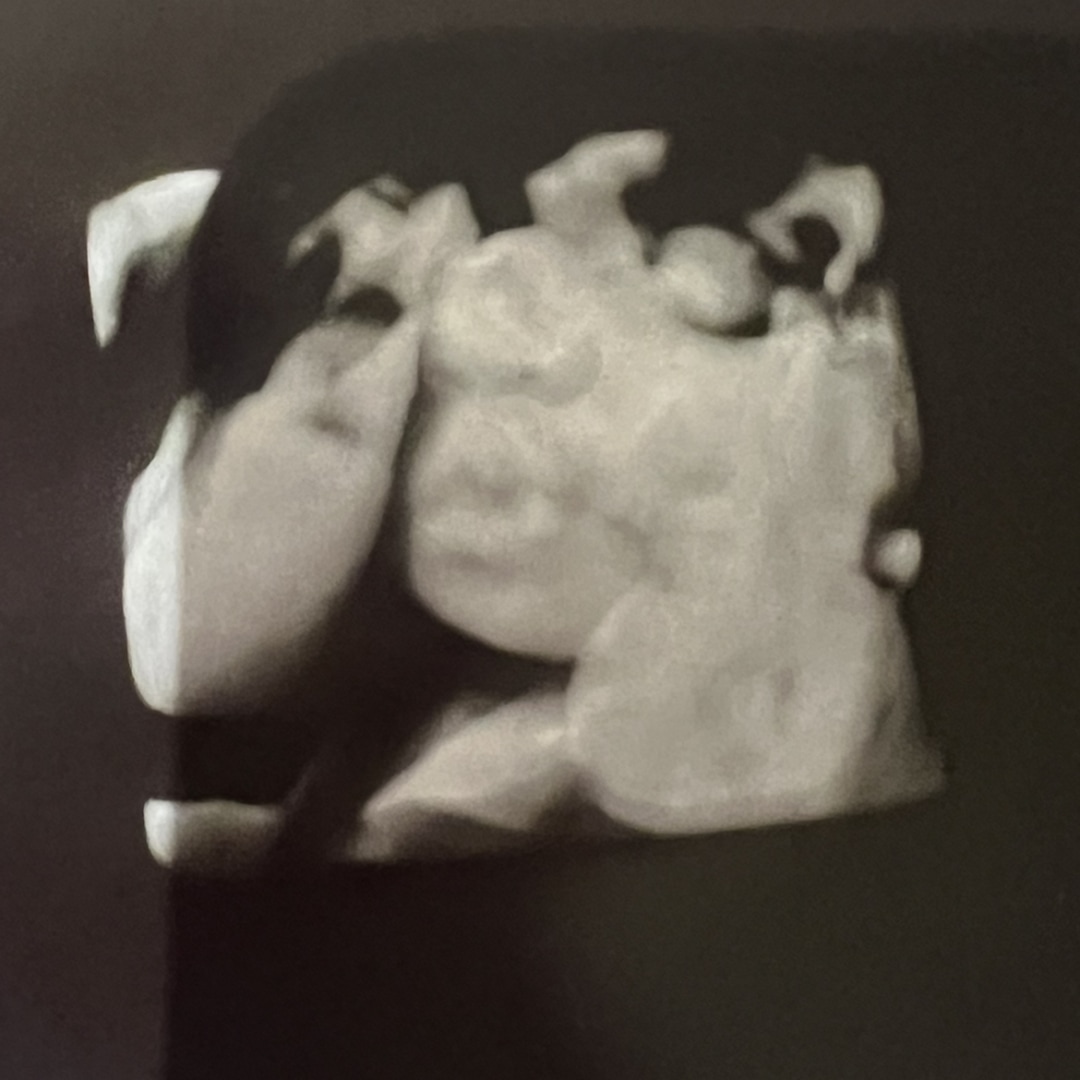 Photo shared by Carlee for their Babylist baby registry.
