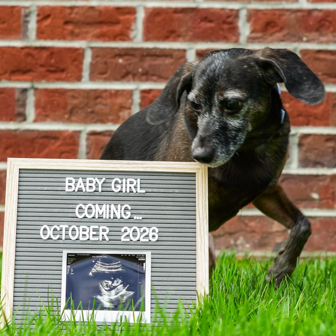 Photo shared by Bree for their Babylist baby registry.