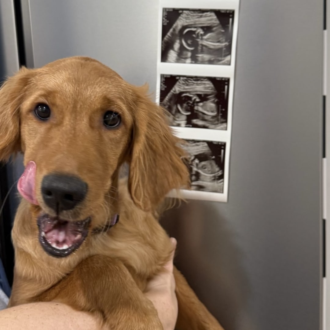 Photo shared by Shannon for their Babylist baby registry.