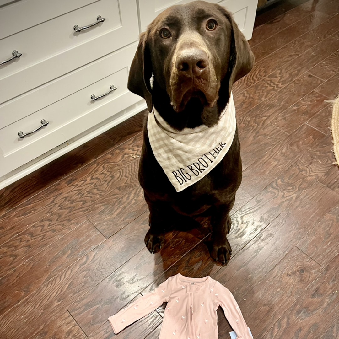 Photo shared by Rushton for their Babylist baby registry.