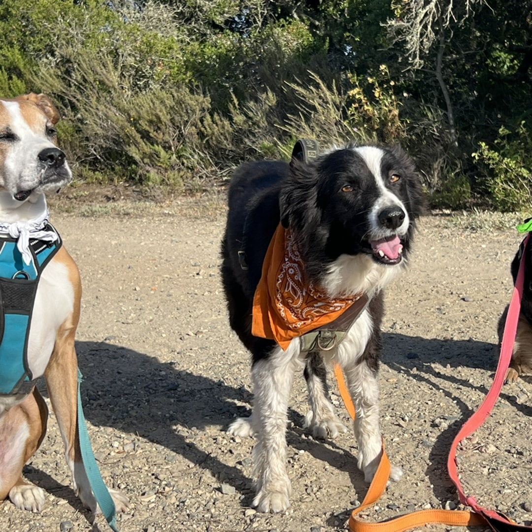 Photo shared by Erika for their Babylist baby registry.