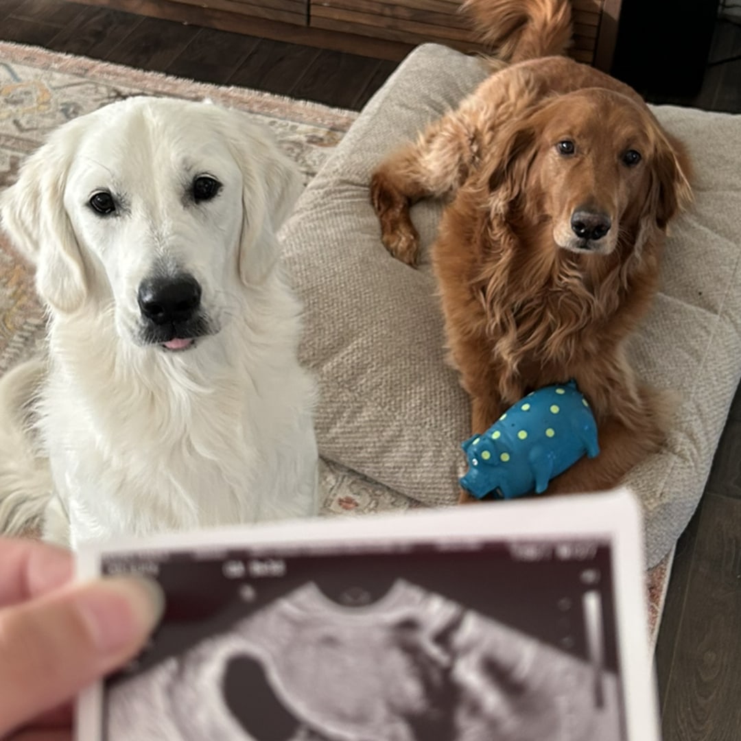 Photo shared by Elena for their Babylist baby registry.