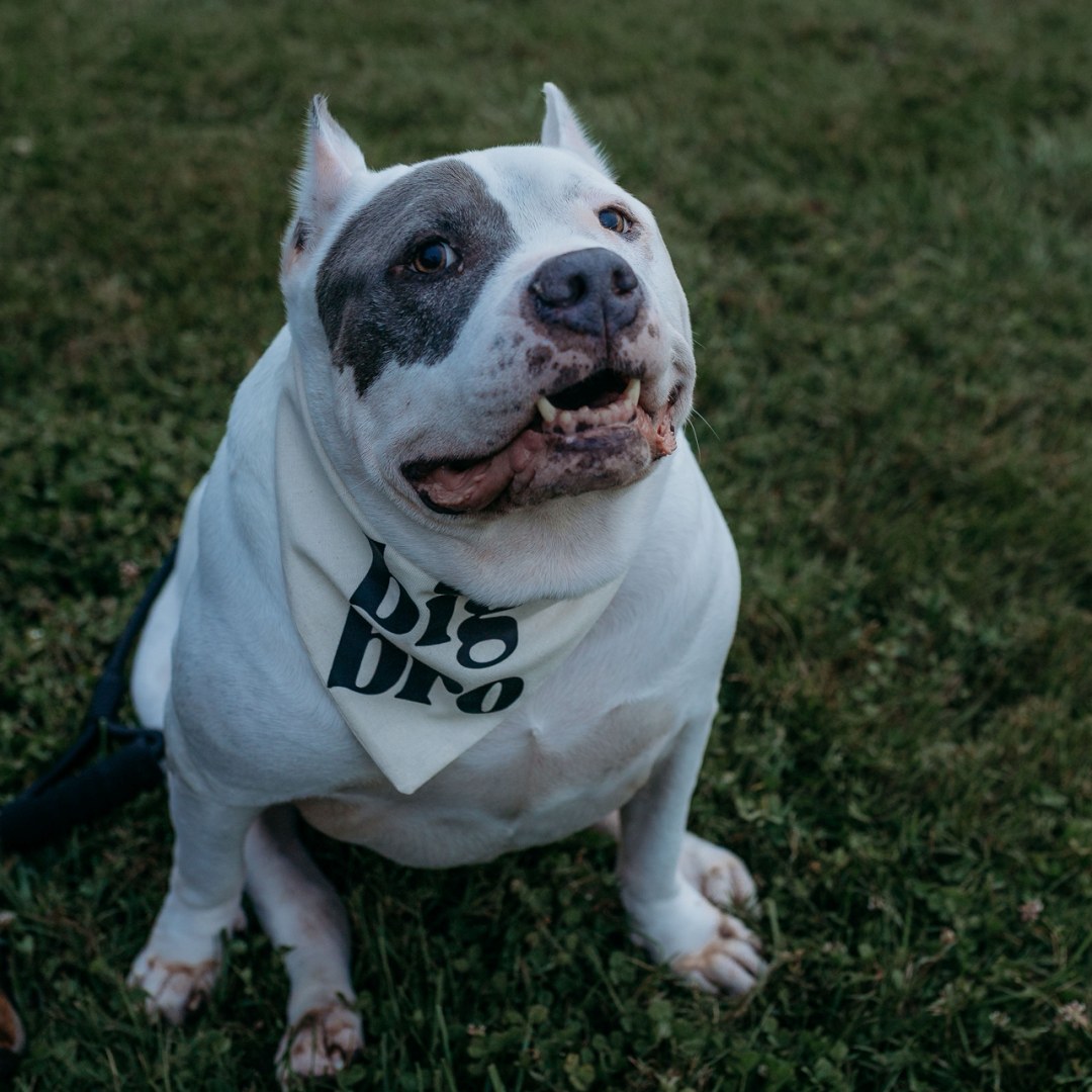 Photo shared by Brandie for their Babylist baby registry.