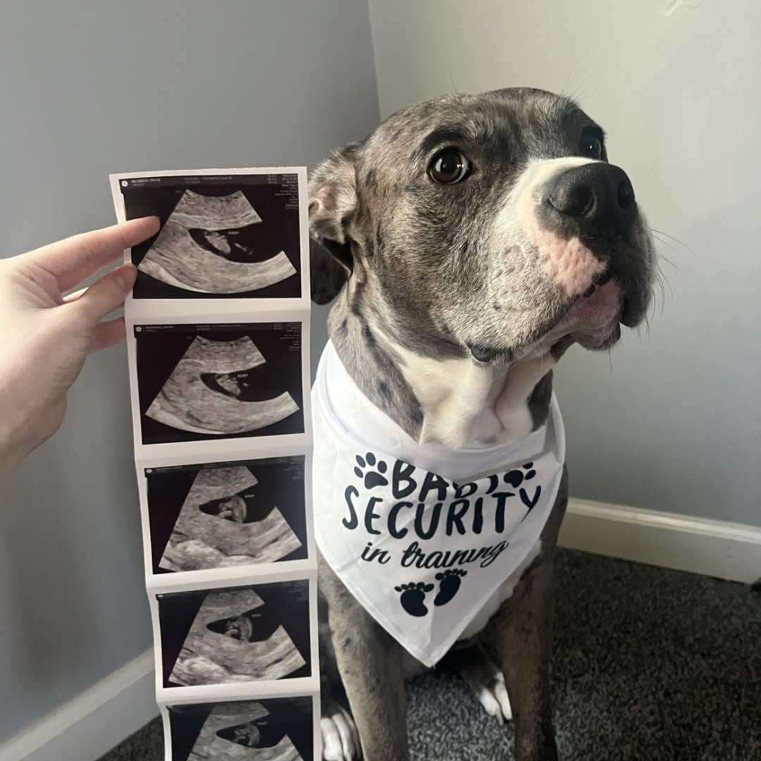 Photo shared by Jaylyn for their Babylist baby registry.