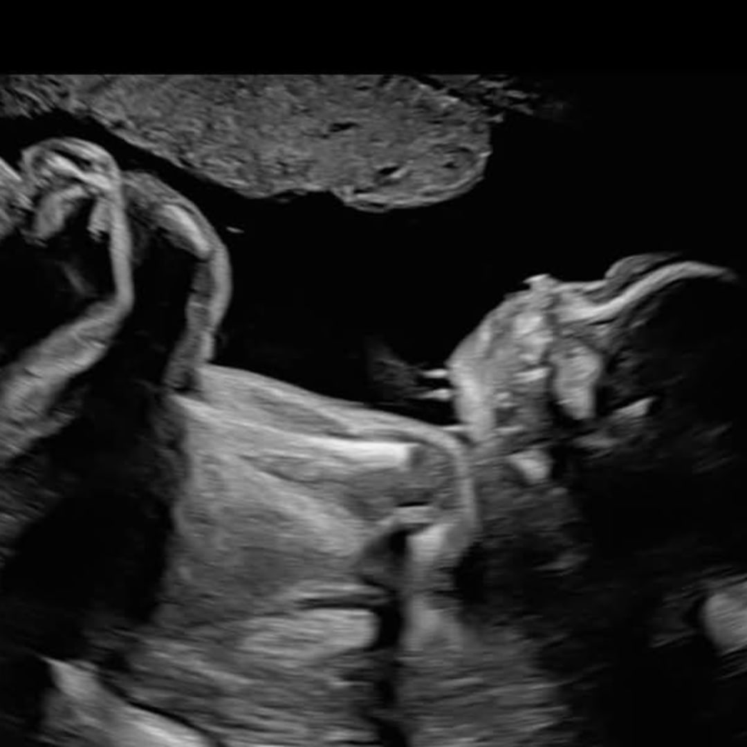 Photo shared by Carlos for their Babylist baby registry.