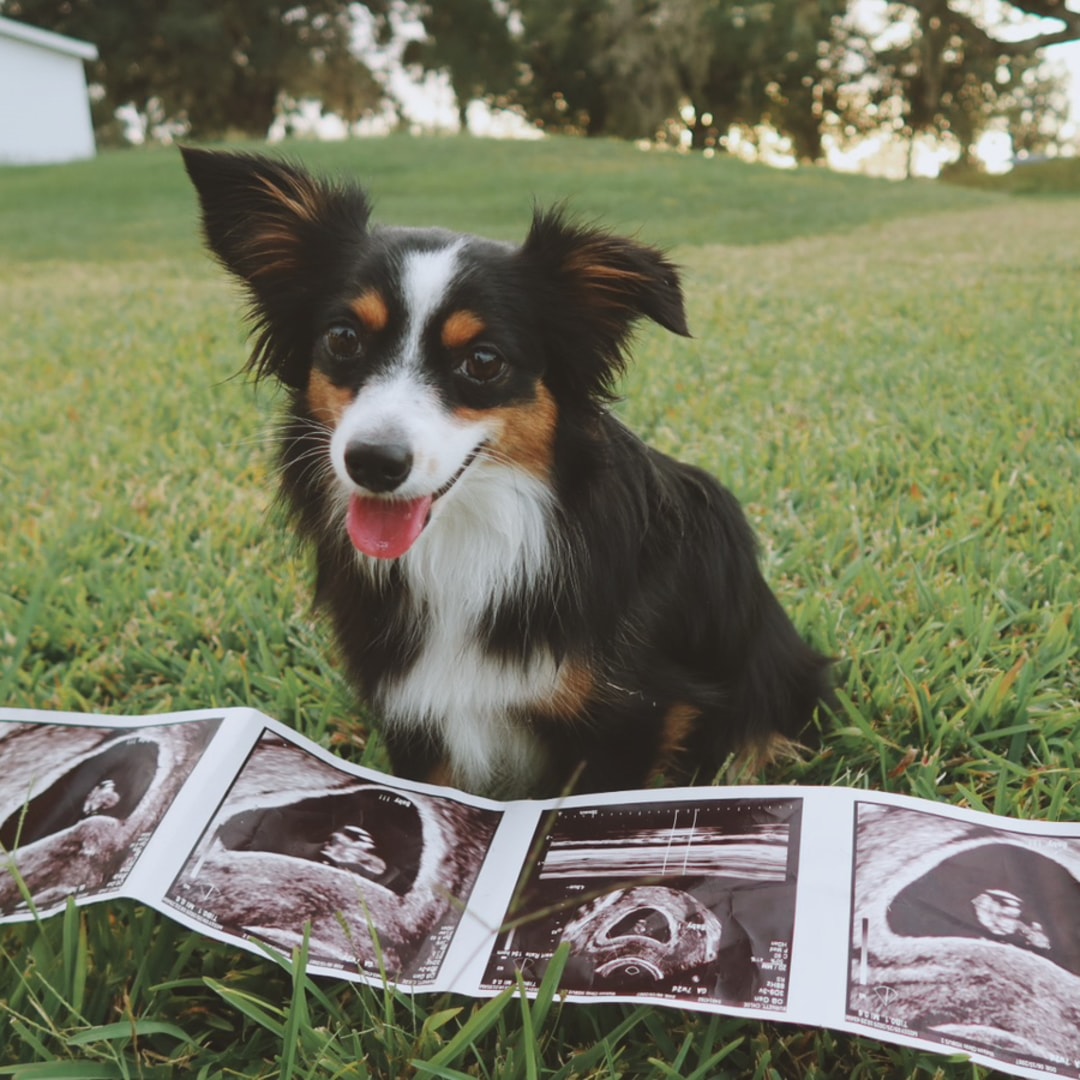 Photo shared by Abby for their Babylist baby registry.