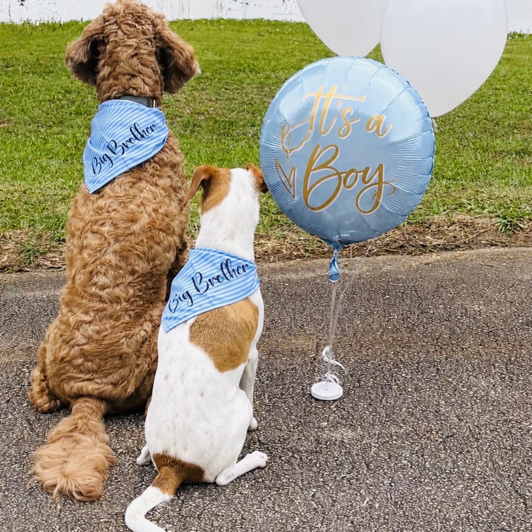 Photo shared by Robin for their Babylist baby registry.