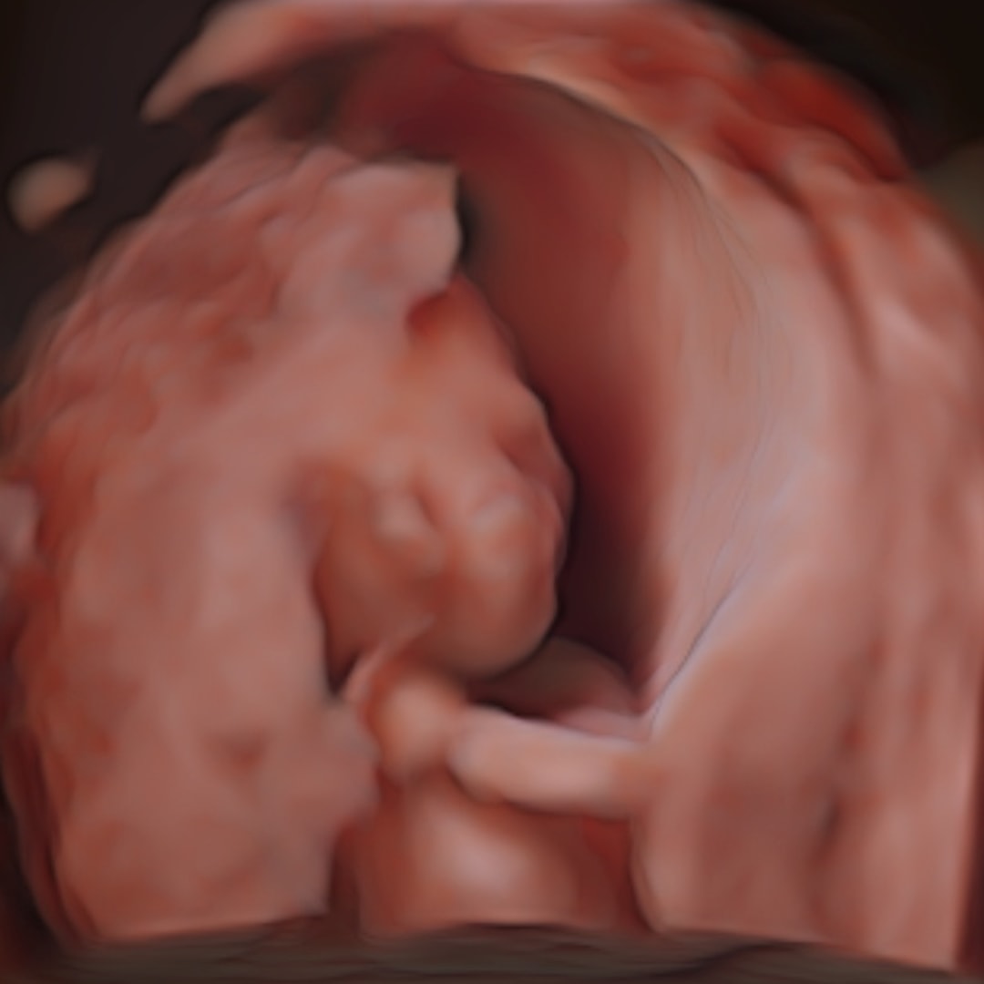 Photo shared by Azalea for their Babylist baby registry.