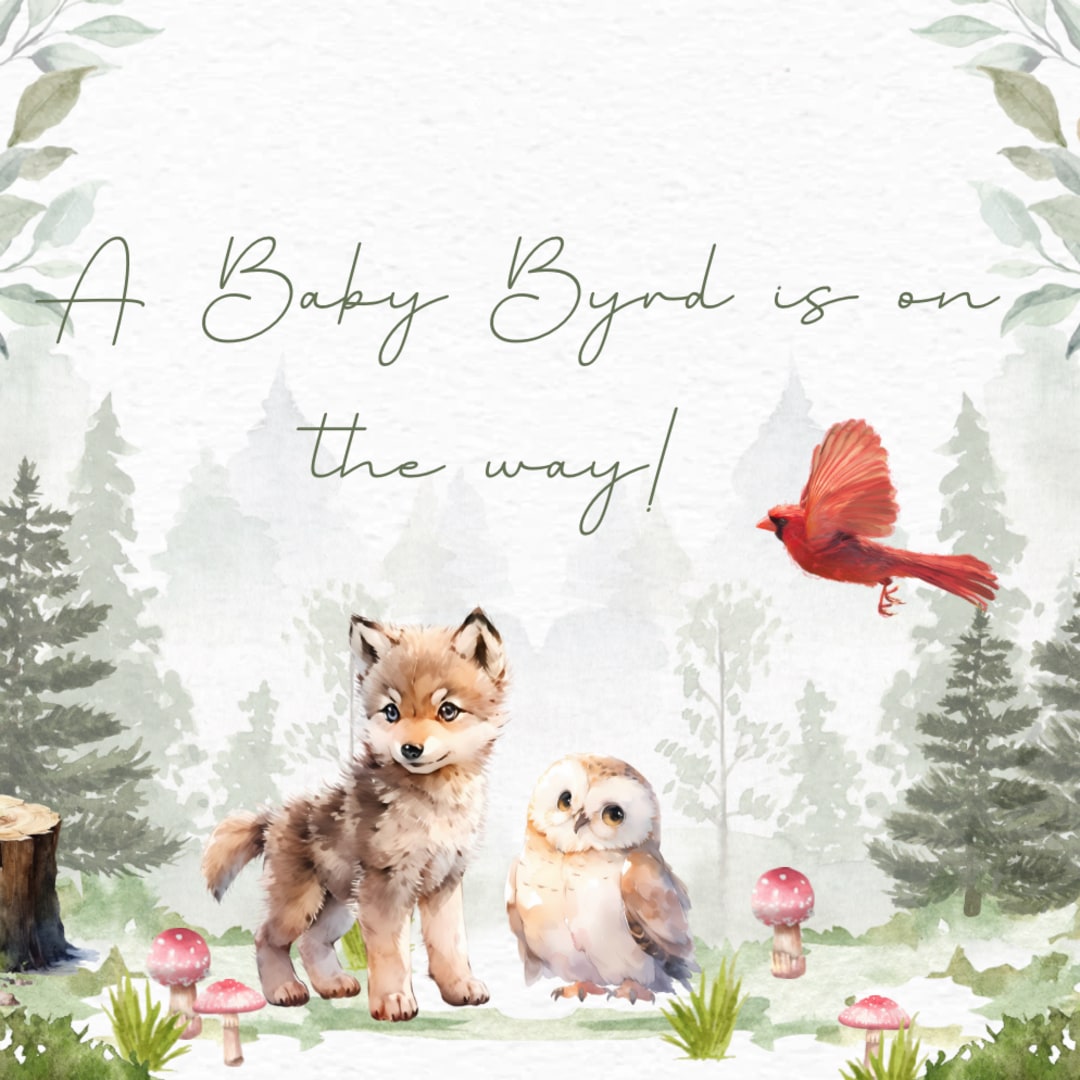 Photo shared by Christina for their Babylist baby registry.